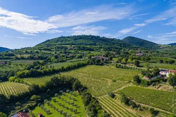 Colli Euganei - Colline e vigneti